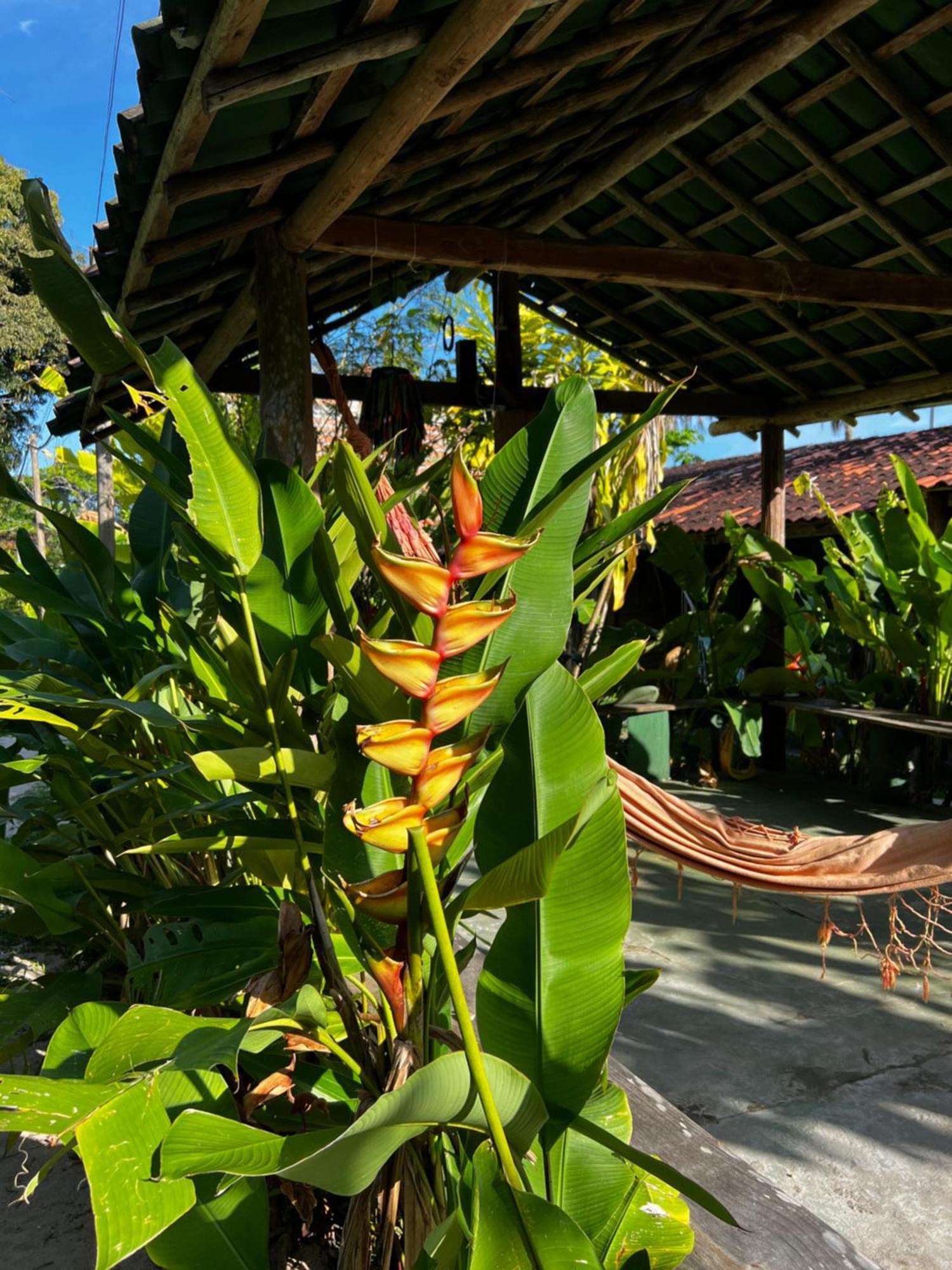 Pousada Morere Barra  Buitenkant foto